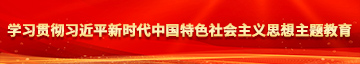 大胸美女逼逼学习贯彻习近平新时代中国特色社会主义思想主题教育